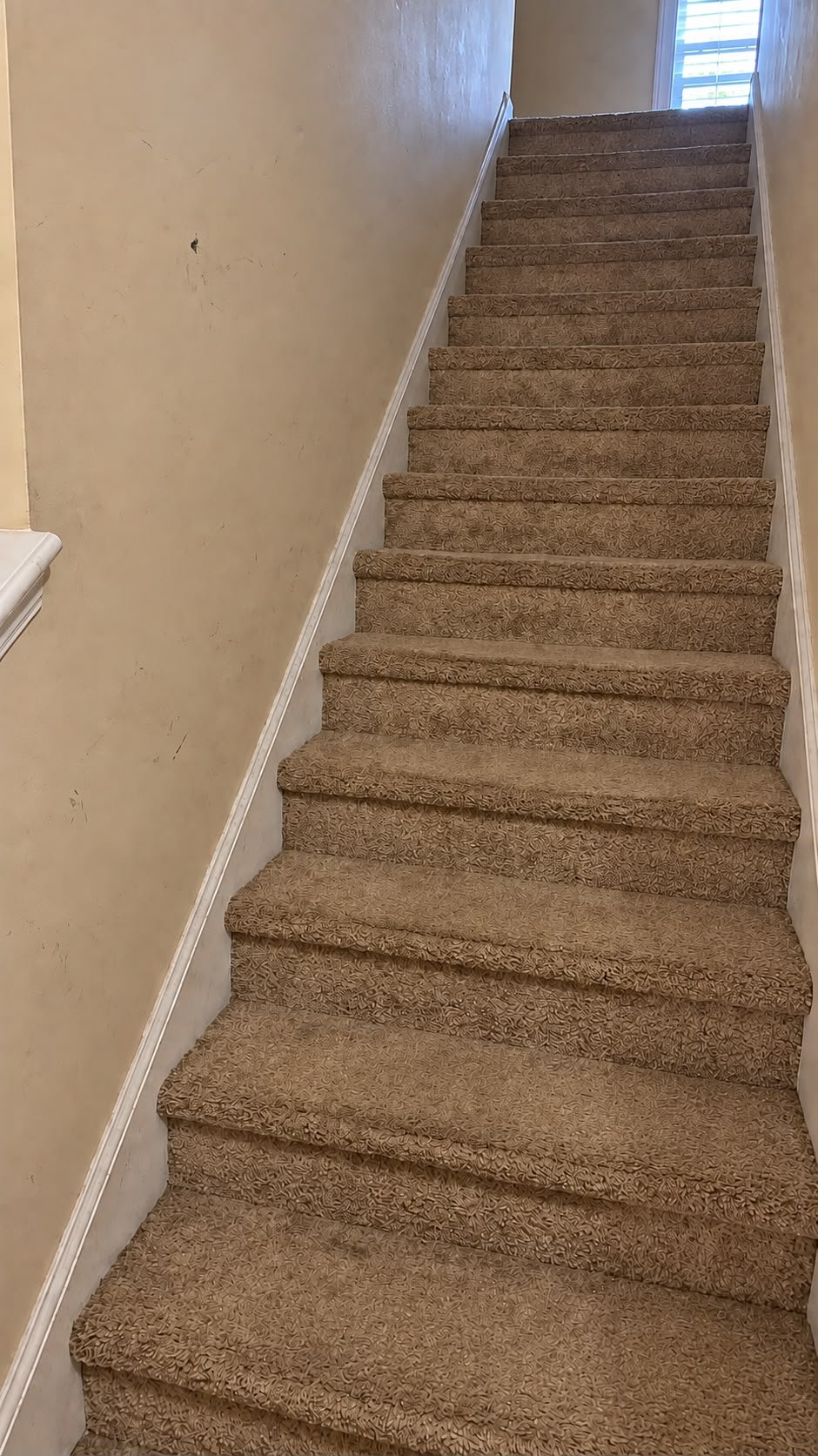 Carpeted staircase before renovation